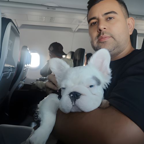 Misión TuFlyDog